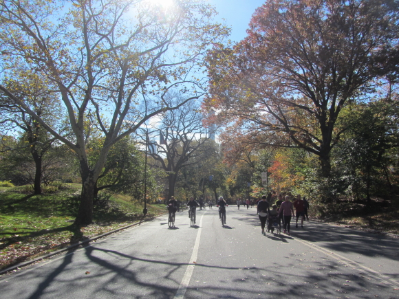 IMG_0190NY 15