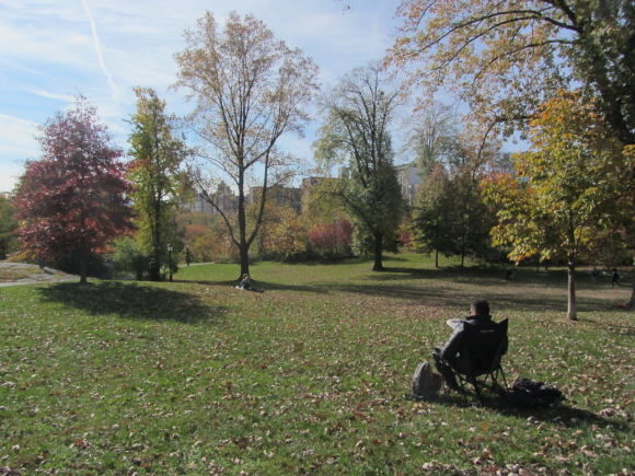 IMG_0200NY 16