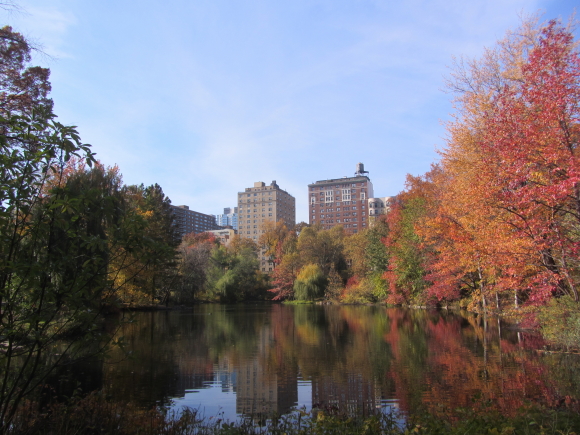 IMG_0203NY 17