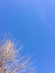 IMG_3544 IMG_3544