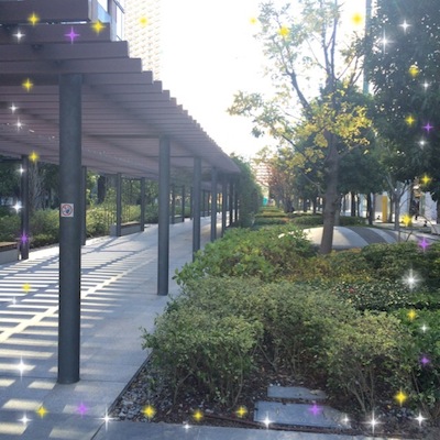写真 3 写真 3