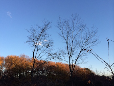 写真 3