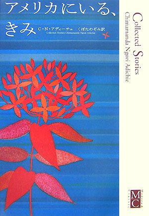 アフリカ出身の女性作家による、珠玉の短篇集『アメリカにいる、きみ』