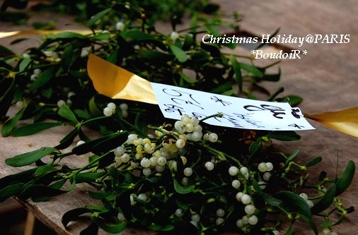 DSC_1716 DSC_1716