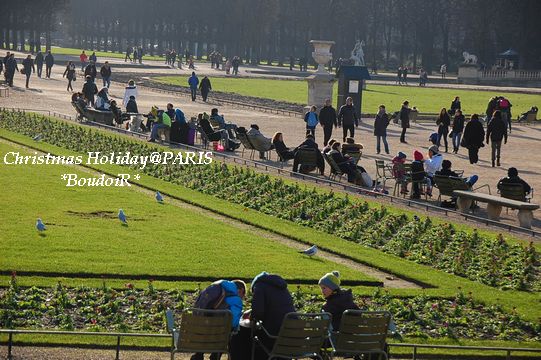 DSC_1920 DSC_1920