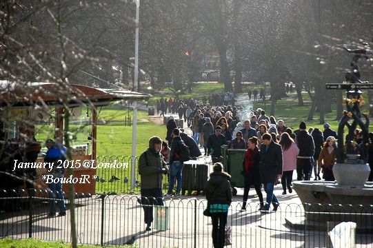 DSC_2042