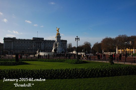 DSC_2070