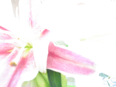 R0050568 R0050568