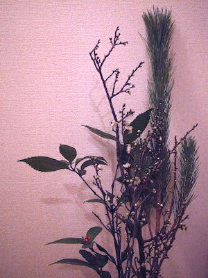 R0050613 R0050613