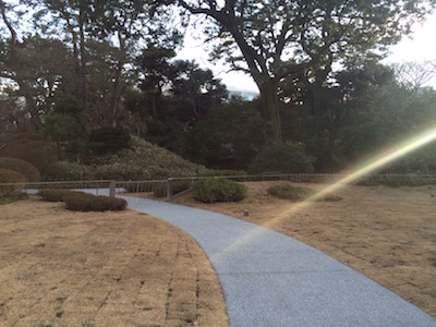 写真 5