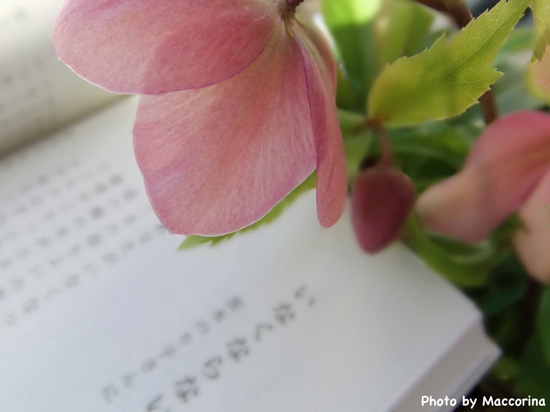 谷川俊太郎が捧ぐ『悼む詩』