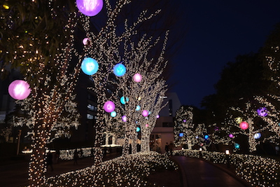 DSCF3982 DSCF3982