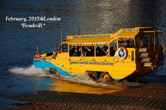 DSC_2498 DSC_2498