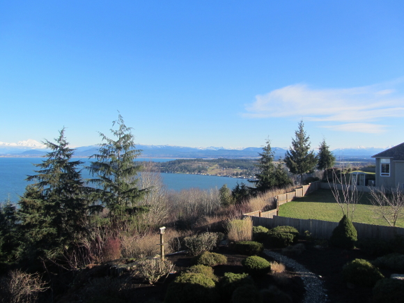 IMG_0430seattle 2