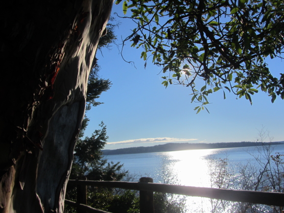 IMG_0446seattle 1