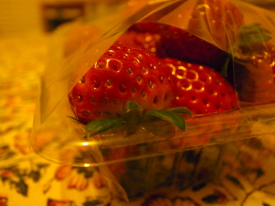 R0050926 R0050926