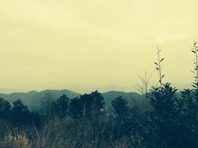 写真 4