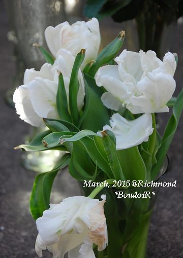 DSC_2939 DSC_2939
