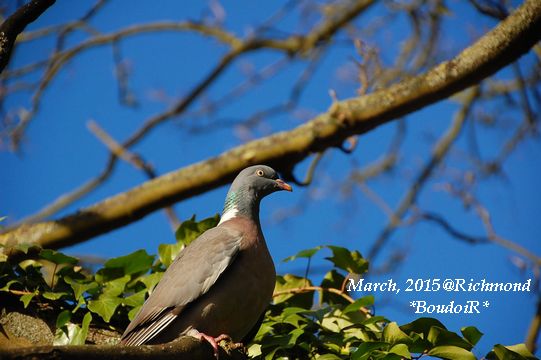 DSC_2946 DSC_2946