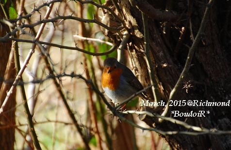 DSC_2949 DSC_2949