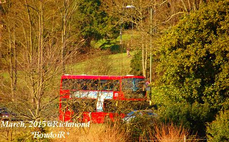 DSC_2951 DSC_2951