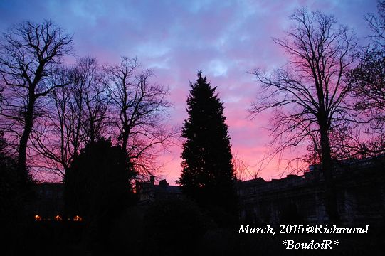 DSC_2960 DSC_2960