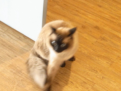 R0051142