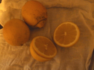 R0051186