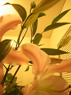 R0051270 R0051270