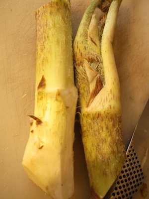 R0051274 R0051274