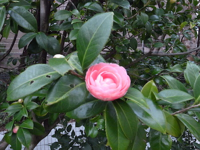 R0051321
