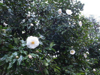 R0051323