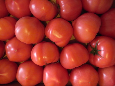 R0051331 R0051331