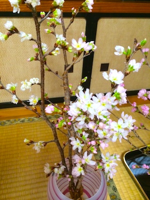 写真 2