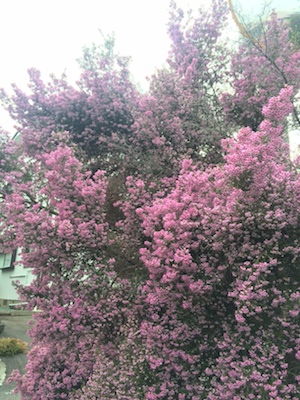 写真 2 写真 2