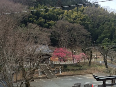 写真 5