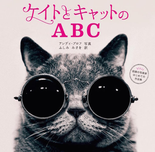 少女と猫の写真に癒される、ハートウォーミングな本『ケイトとキャットのABC』