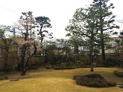写真 1 写真 1