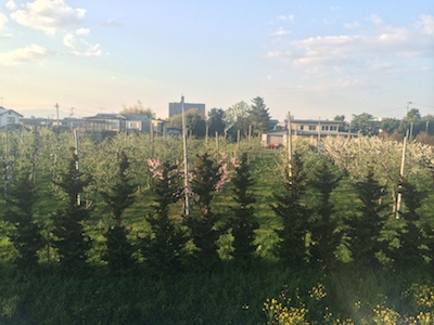 写真 4