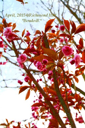 DSCF6861 DSCF6861