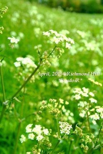 DSCF7176 DSCF7176
