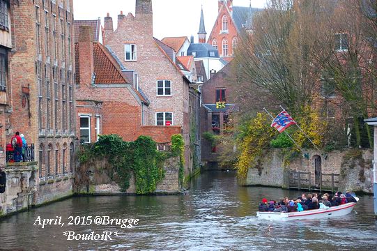 DSC_3556 DSC_3556
