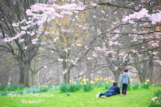 DSC_3675 DSC_3675