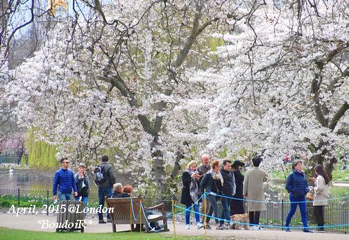 DSC_3676 DSC_3676