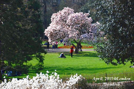 DSC_3742 DSC_3742