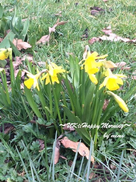IMG_3152 IMG_3152