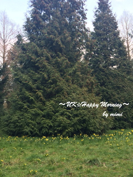 IMG_3156 IMG_3156