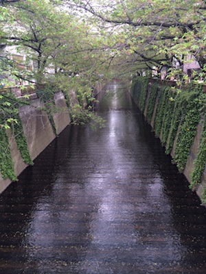 写真 5 写真 5