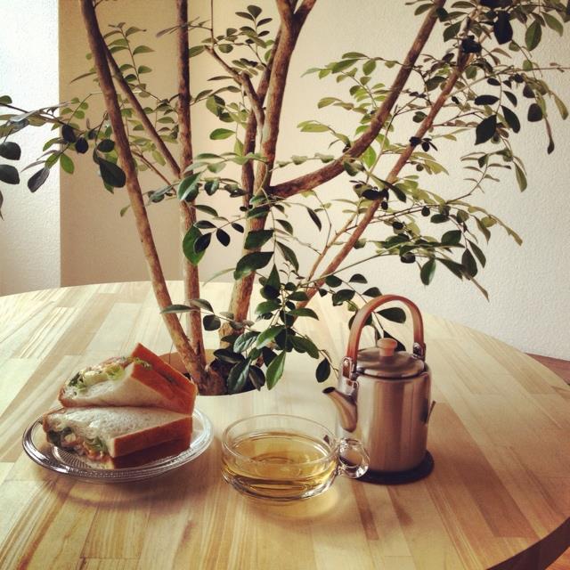 部屋の中の「木陰」で過ごす、とっておきの朝時間
