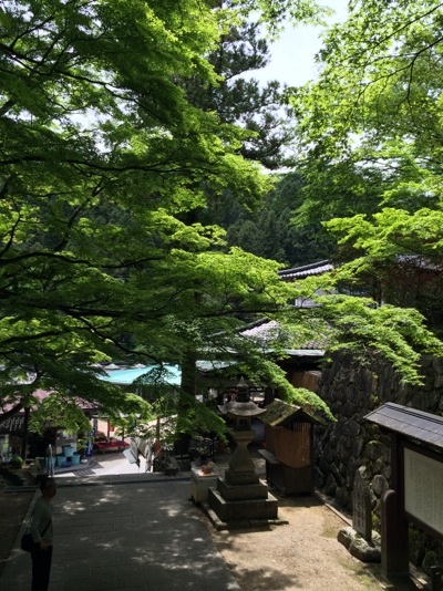 大窪寺の新緑